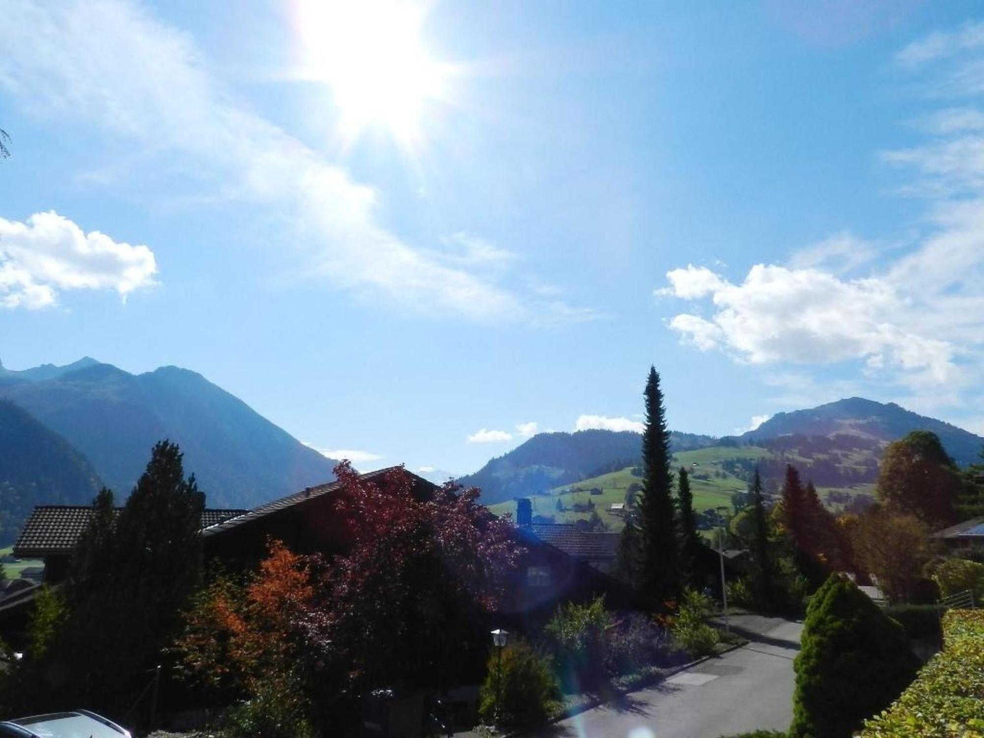 Apartment Fink By Interhome Zweisimmen Kültér fotó